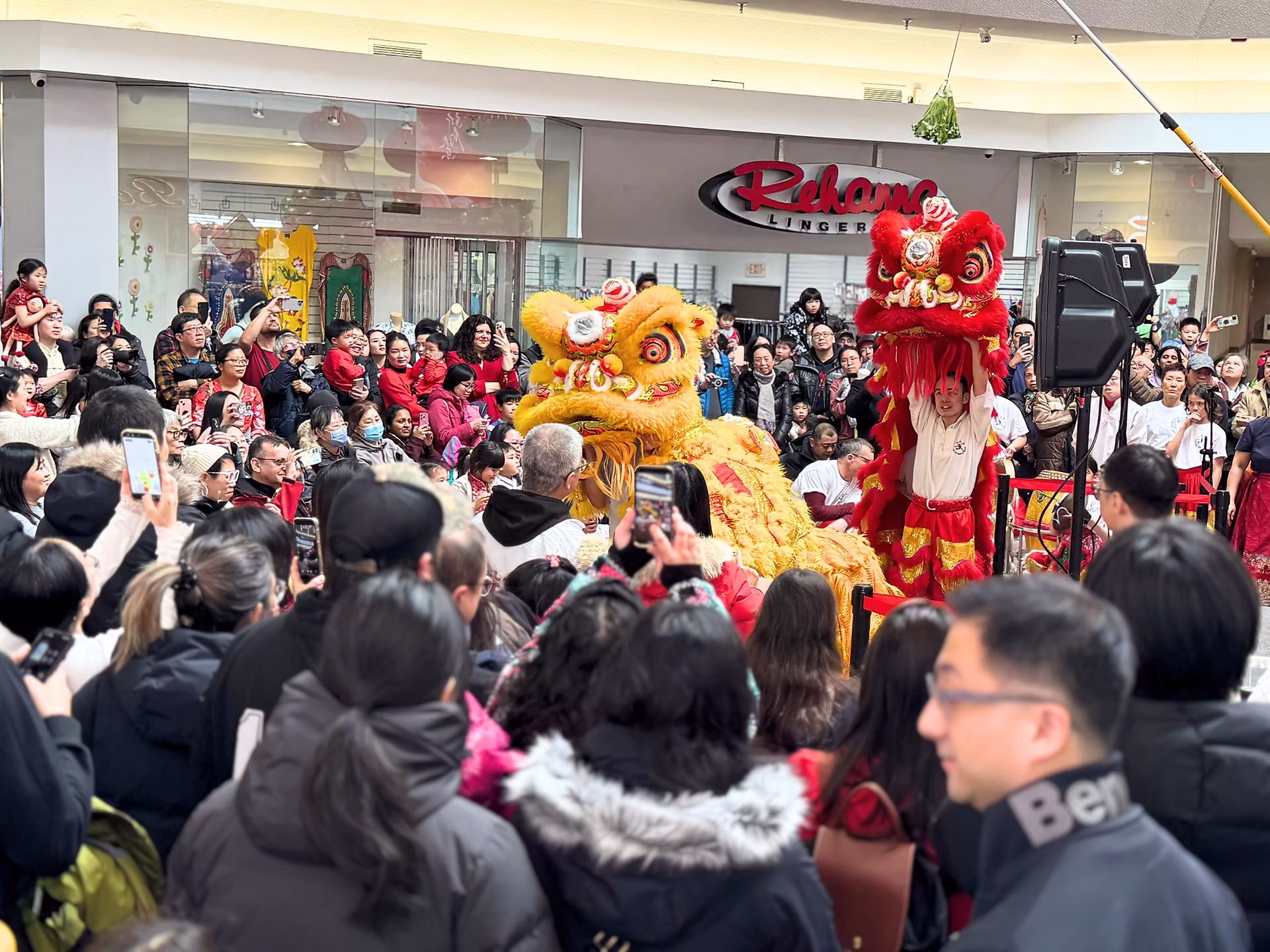 Lunar New Year Celebration